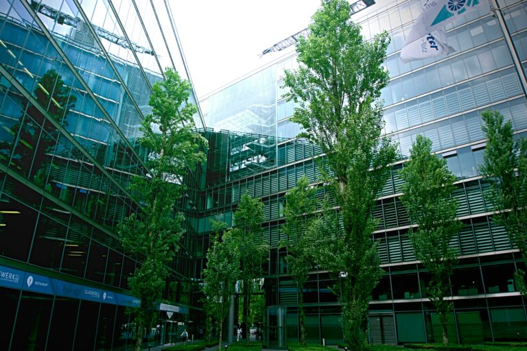 Cura e Gestione dell'Albero in Ambiente Urbano